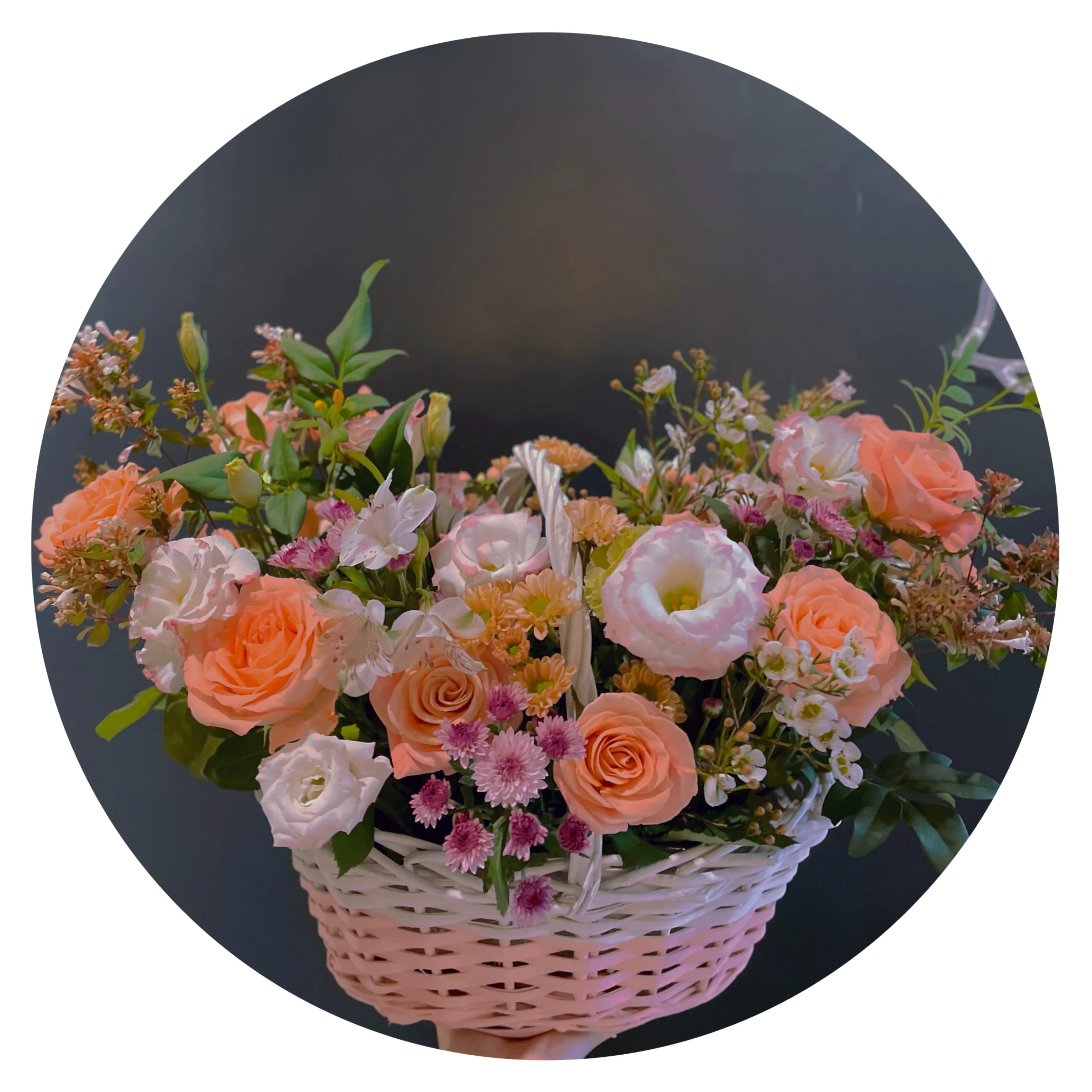 Yuhuiting flower story of the spring basket