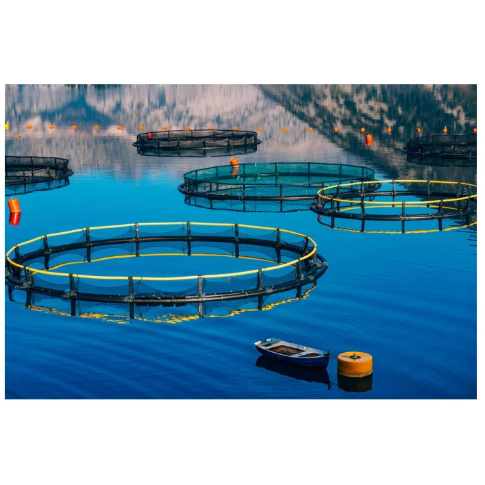 Оборудование для аквакультуры, клетка для рыбной фермы, морская рыба, ферма