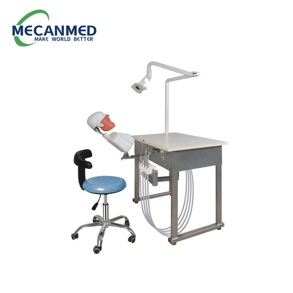 Top Quality Dental Education Manikins Dental Simulation Model Phantom Head Dentist Education Teach Studying Dental Simulator