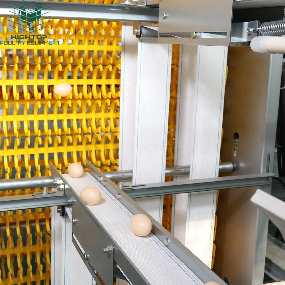 Factory Price Automatic Egg Chicken Poultry Farming A Type Chicken Layer Cages 3 Tier 4 Tier Battery Layer Farm Cage For Sale
