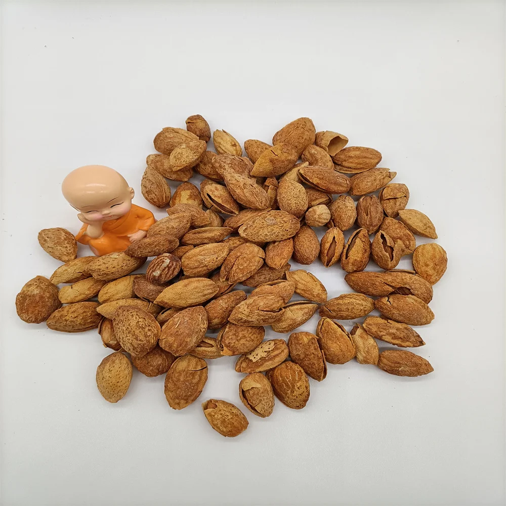 Raw Almond and Roasted Almond Thin Skin Almond