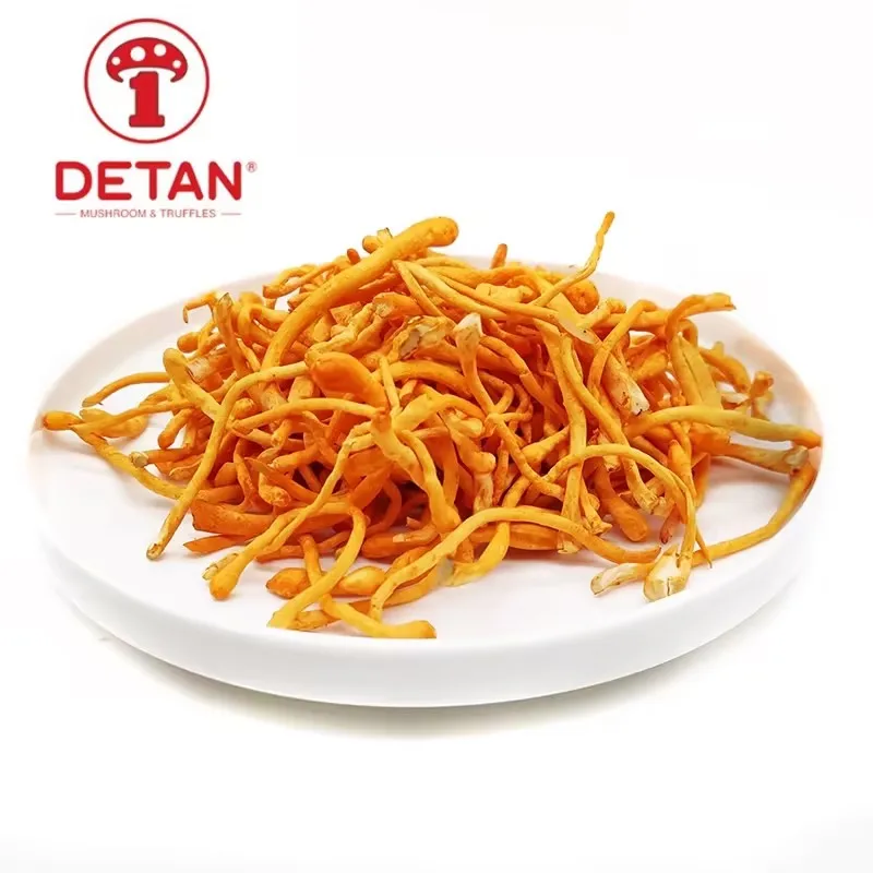 Factory Exit Fresh Cordyceps Flowers For Sale Supermarket Wholesale Prices