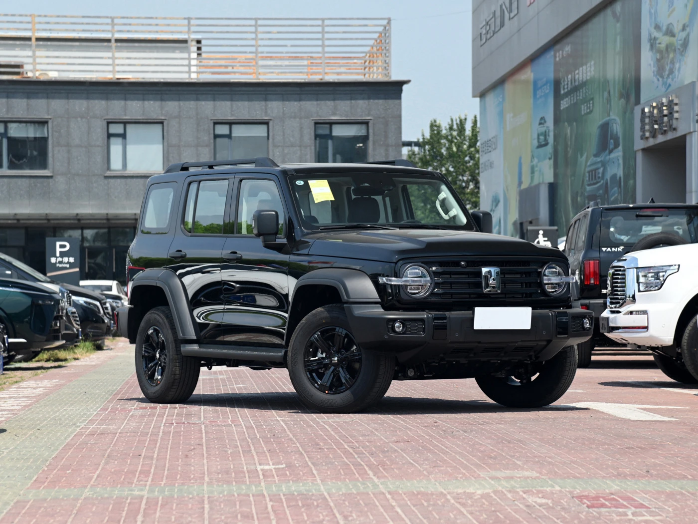 Новые автомобили Большой Настенный бак 300 2 0 т бензиновый внедорожник Космический Багги спортивный автомобиль