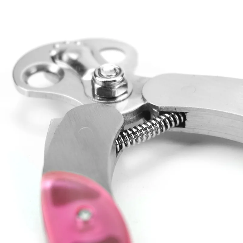 Профессиональные кусачки для когтей питомцев и Коготь Триммер с предохранителем и универсальным питанием-от источника переменного или для животных лапы для Стрижки животных кота собаки машинки для стрижки волос