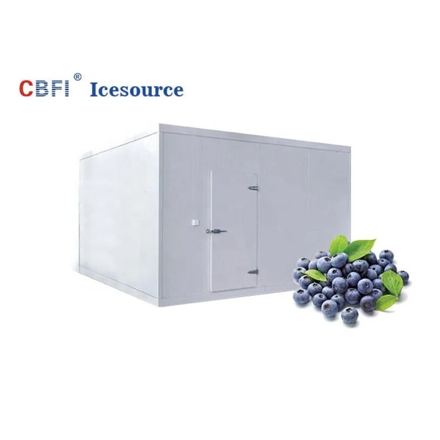 Automatic Hot-sale Cold room (walk in freezer) for fruit/fish/meat/flower for sale with CE approved