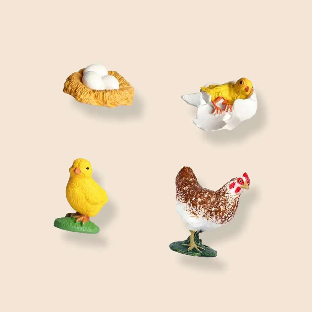 3D Miniature Chicken Growth Process Kids Toys Desk Home Decor Garden Fairy Accessories Plastic Charms