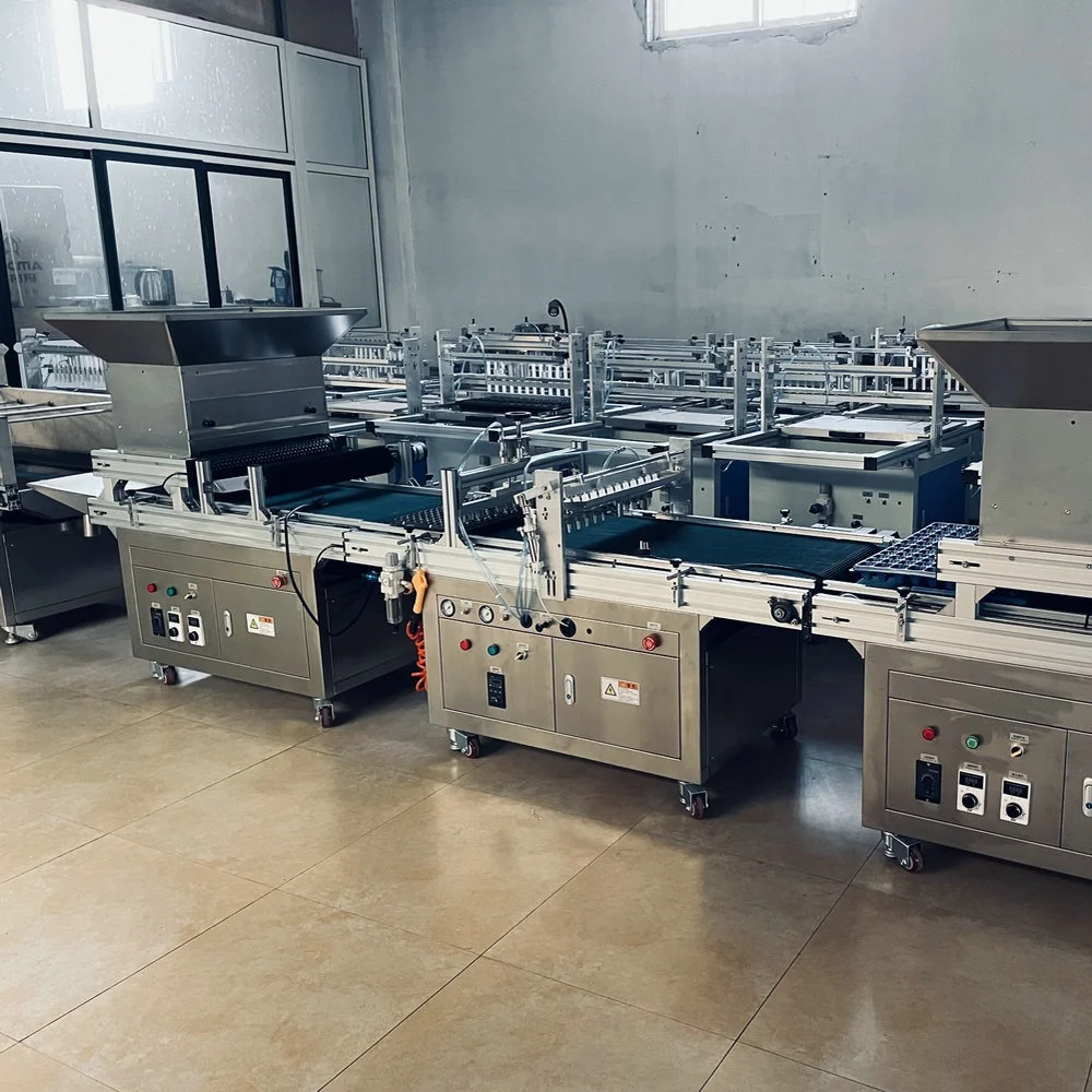 Auto Tray Seeding/Sowing Machine Seeder Tray Vegetable Seeder Machine