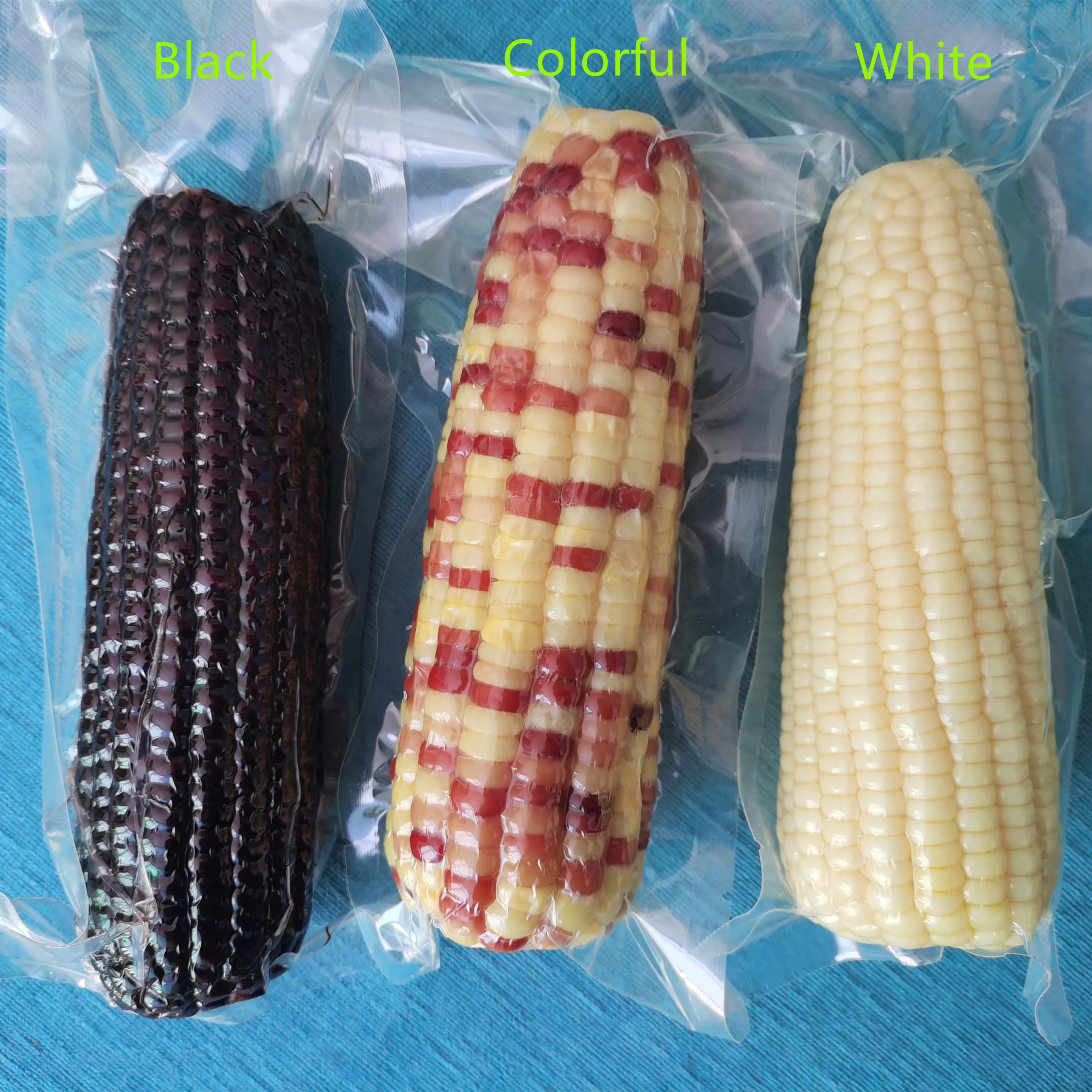 White Corn Sweet and Waxy Corn Black Corn