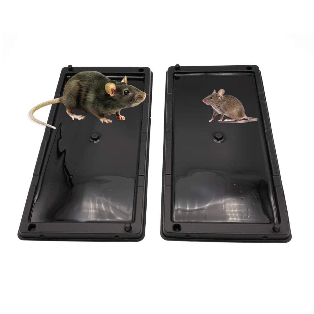 Sticky Bug Catcher for Home and Office Catchmaster Rat Glue Trap EasytoUse Rodent Control Solution
