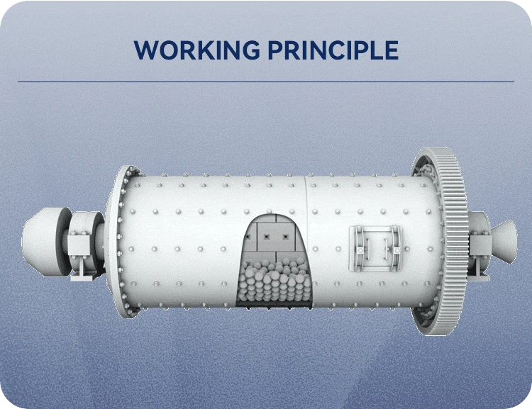 detailPrinciple