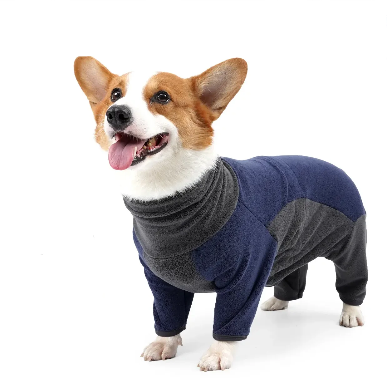 Custom New design Pet clothing  high-neck design comfortable adjustment buckle pet dog hoodie