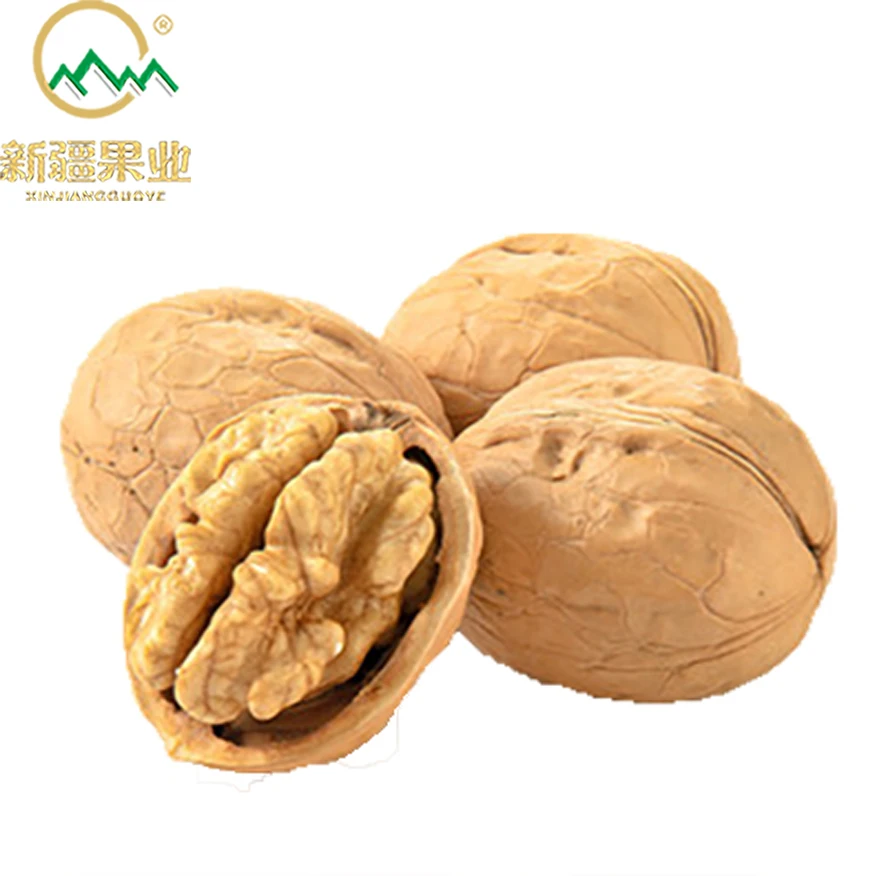 nuez factory supply xinjiang dry fruit raw walnut paper shell