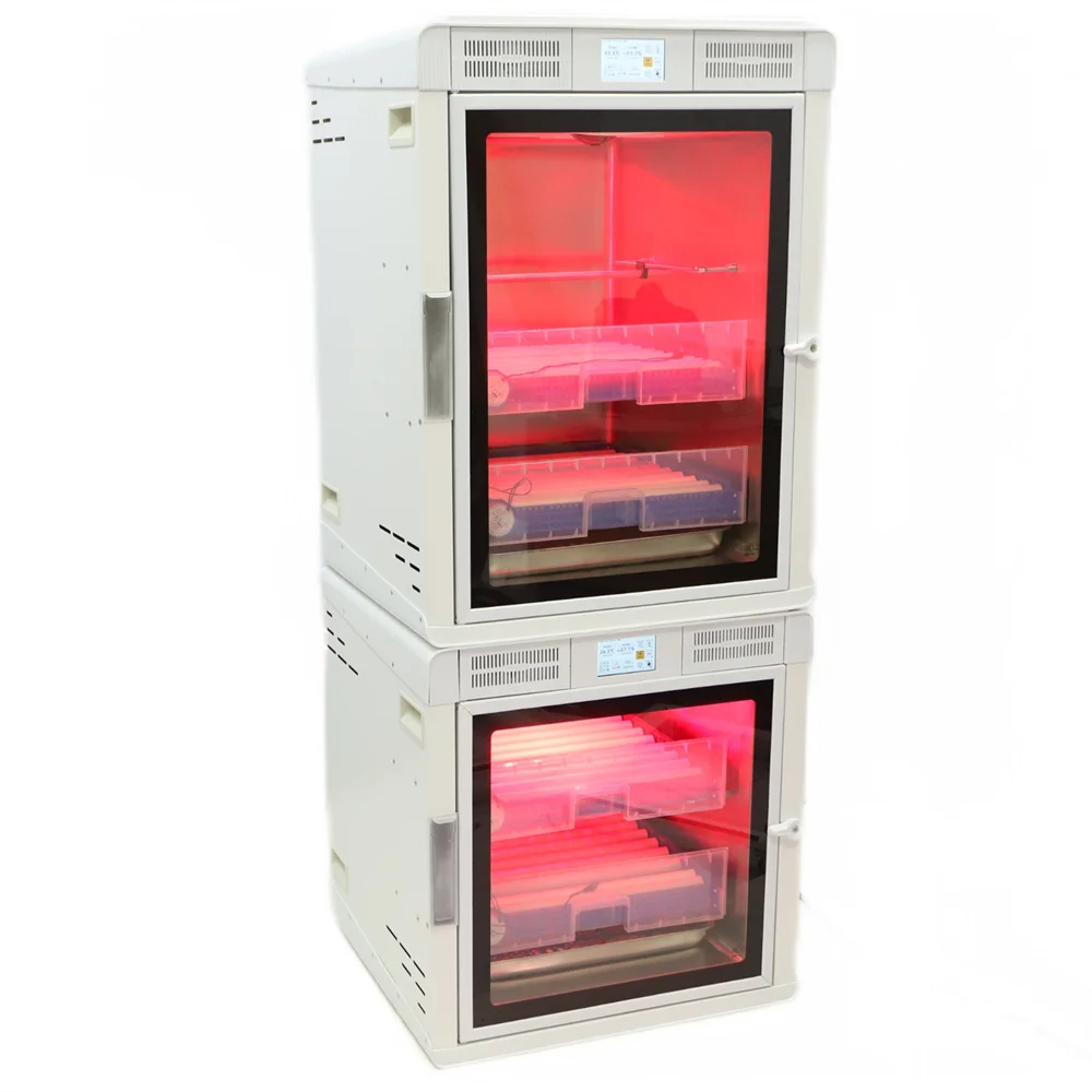 Digital Chicken Egg Incubator Hatcher Mini Incubator for Birds or Mound-builders Buy Chick Egg Incubator China