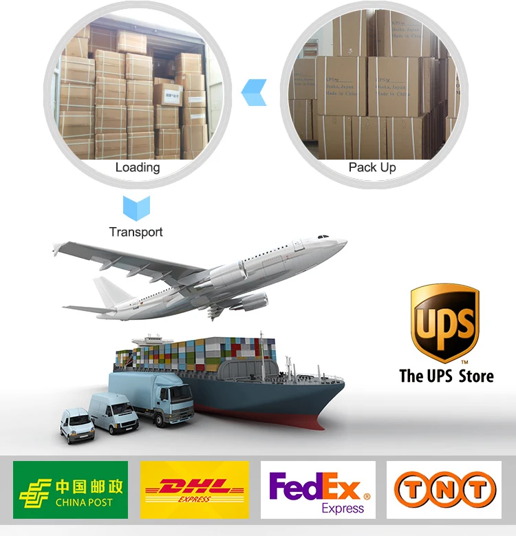 Chinese Factories Supplies High-Quality Pet Product Wholesale