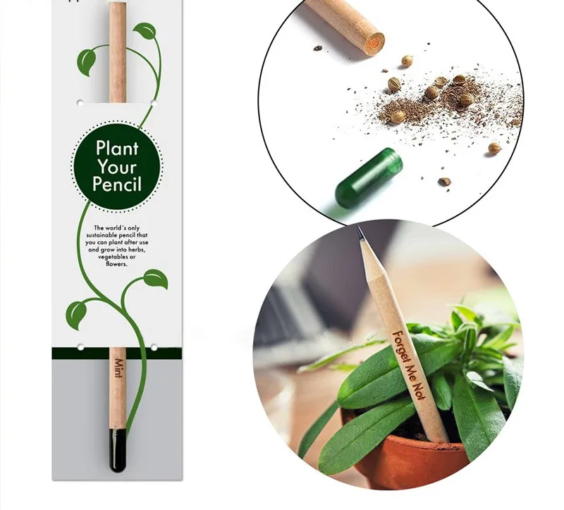 Wholesale Plantable Pencil Custom Designs Logos Plantable Special Pencil Potted Packages Wooden Plantable Seed Pencil