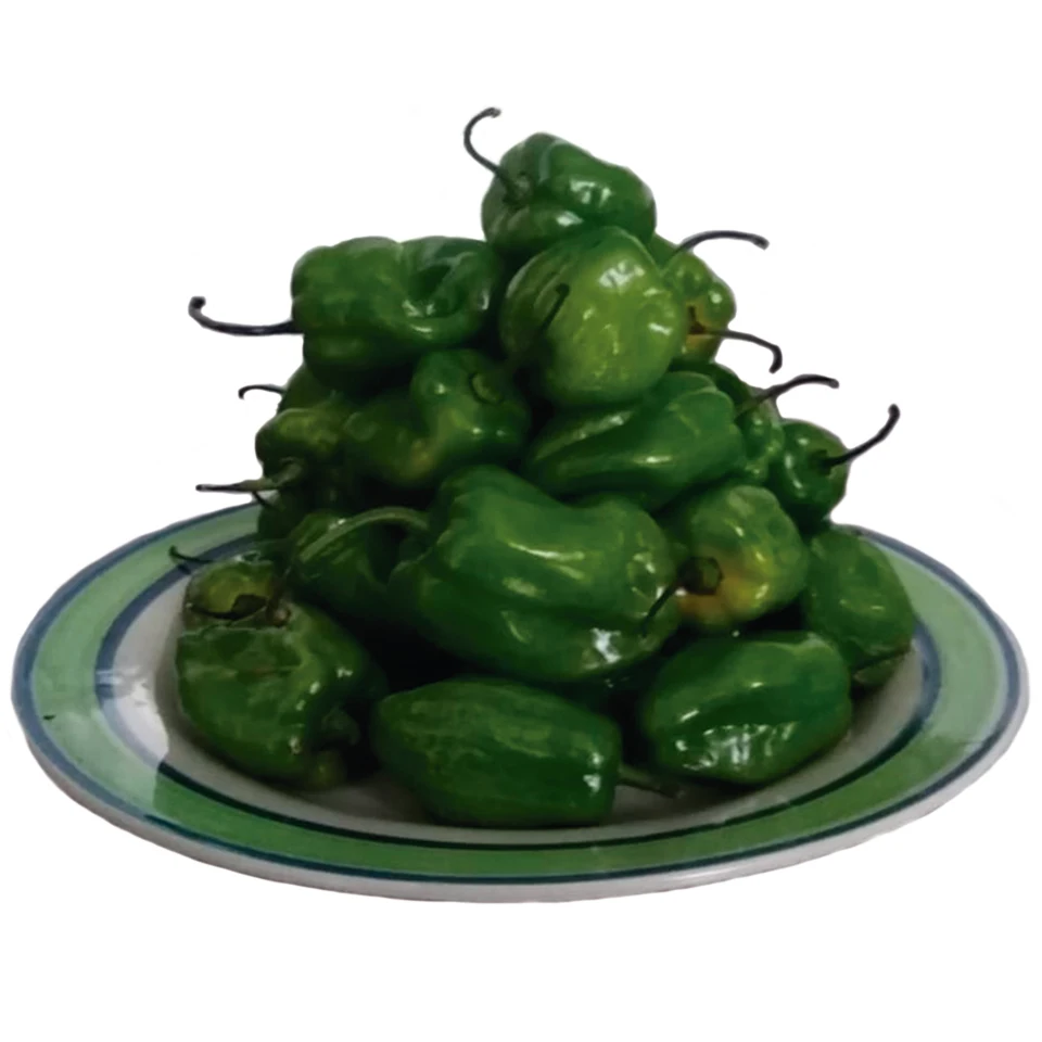 High Quality Fresh Pepper Chilli Green Habanero