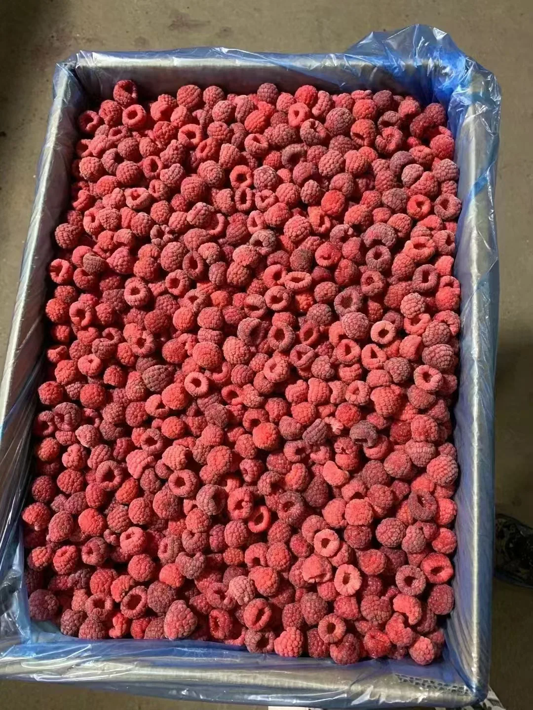 New Design  Fresh Black Red Seedless Raspberry  Frozen Black Raspberries  Frozen Raspberries