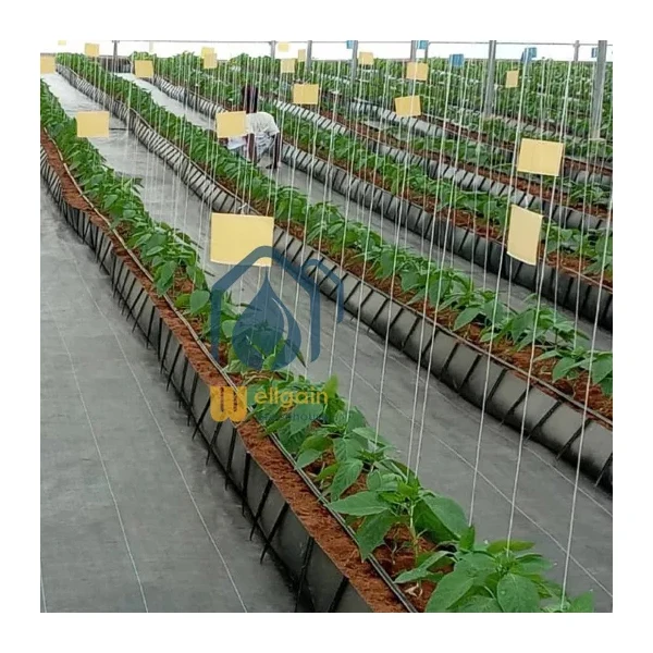 Complete plastic pp roll grow gutter system trough for tomatoes