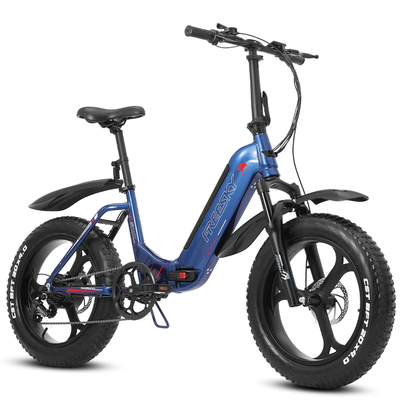 New Arrival Freesky electric folding bike good quality electric fat bike OEM Chinese electric bicycle adult bikes manufacturer