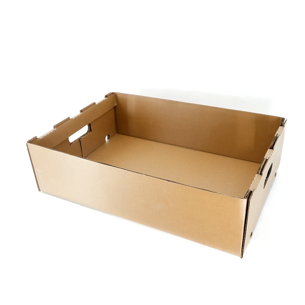 Factory Custom Fruit Shipping Box 5 Layer Corrugated Paper Box Vegetable Carton Tray Box