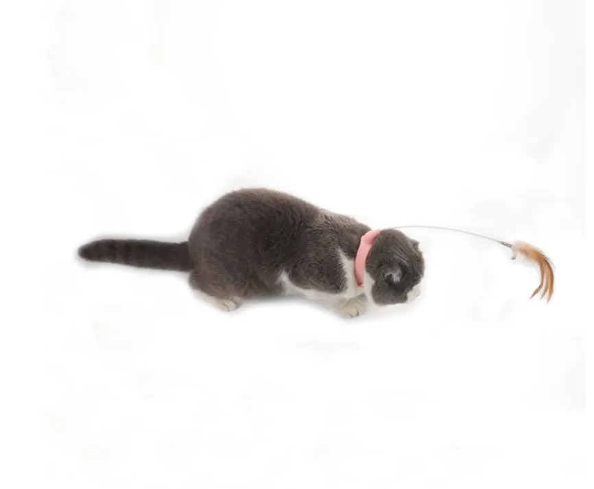 Interactive Cat Toy Feather Teaser Stick Catcher Teasing Sticks Kitten Foot Playing Game Pet Products Supplies Toys for Cats