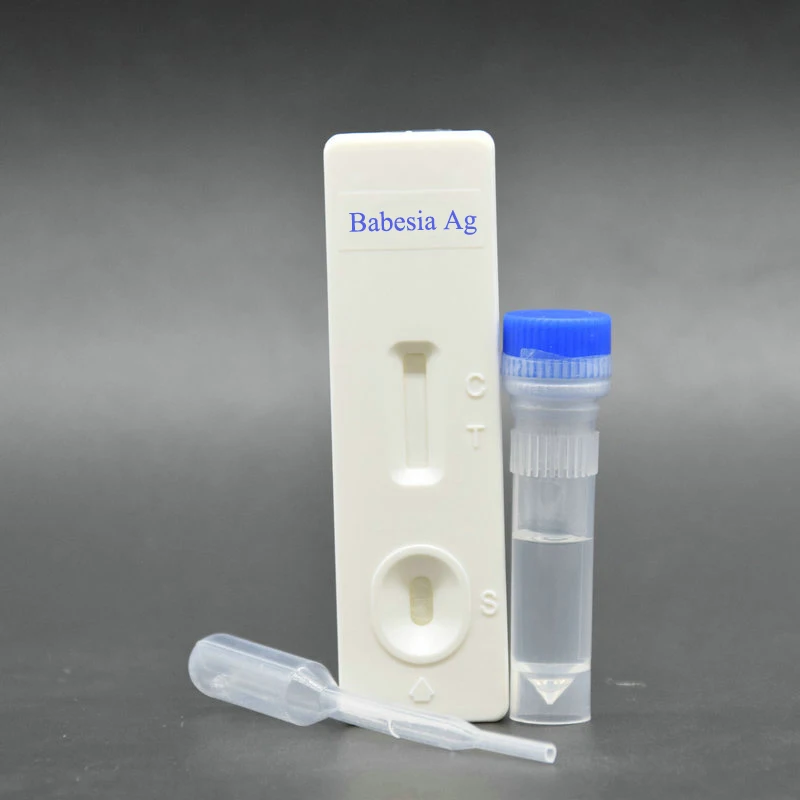 CE ISO factory  supply ship soon  delivery fast high quality Cat Fpv Rapid Test Kit Feline Parvovirus Panleukopenia ag test kit