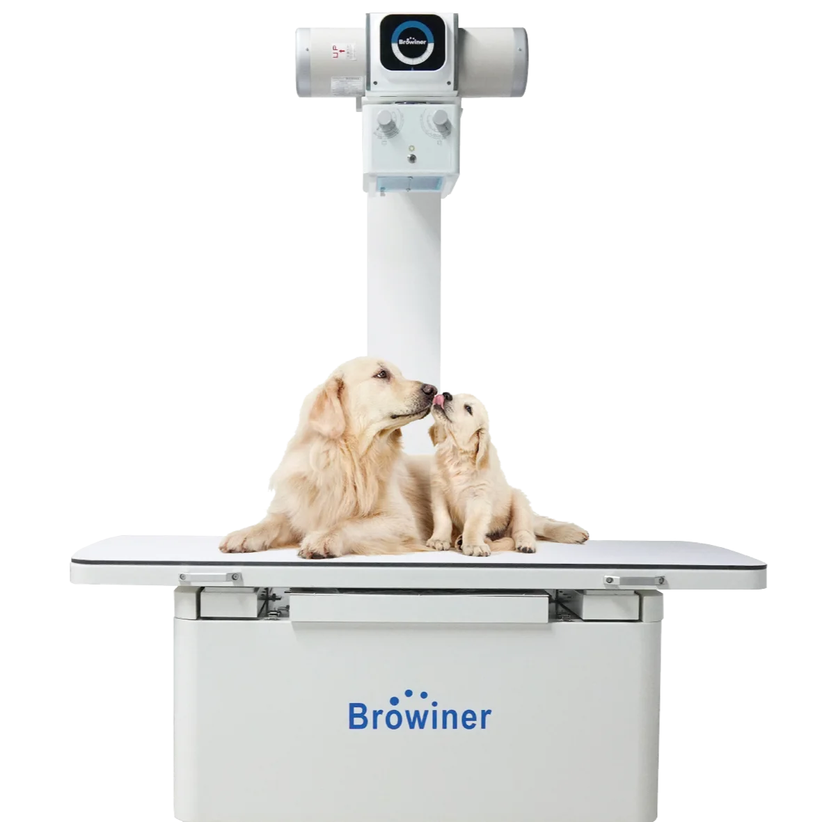 Factory-Made Browiner Medical X-Ray Machine VX200&VX400 One-Year Warranty Mobile Veterinary X-Ray Equipment for dogs and cats