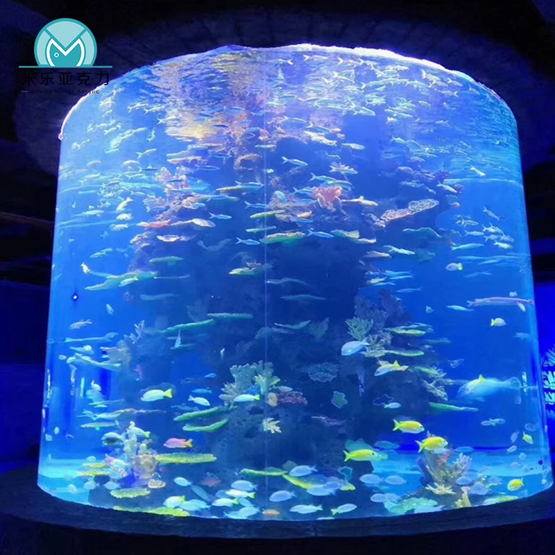 Manufacturer professional promotional modern style tall round acrylic coral fish tank