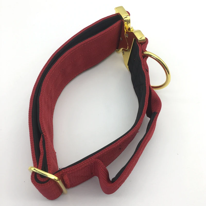 Customized Nylon Webbing Waterproof Dog Collar Light and Cute High End Dog Collar