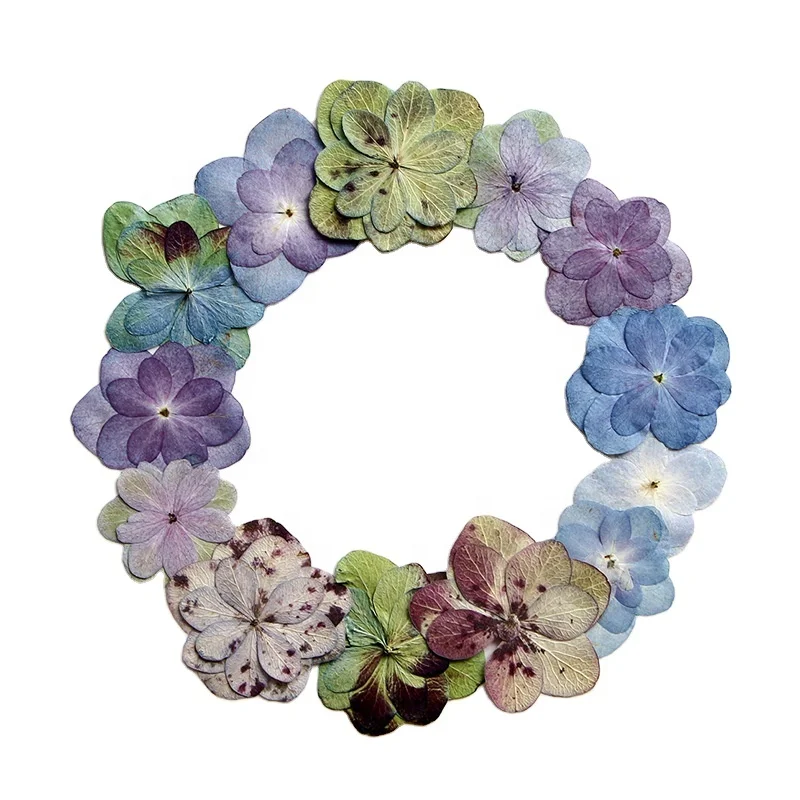 12pcs/pack Double Petal Hydrangea Card Making Supplies Resin Jewelry Natural Plant Eco-friendly Real Pressed Flower