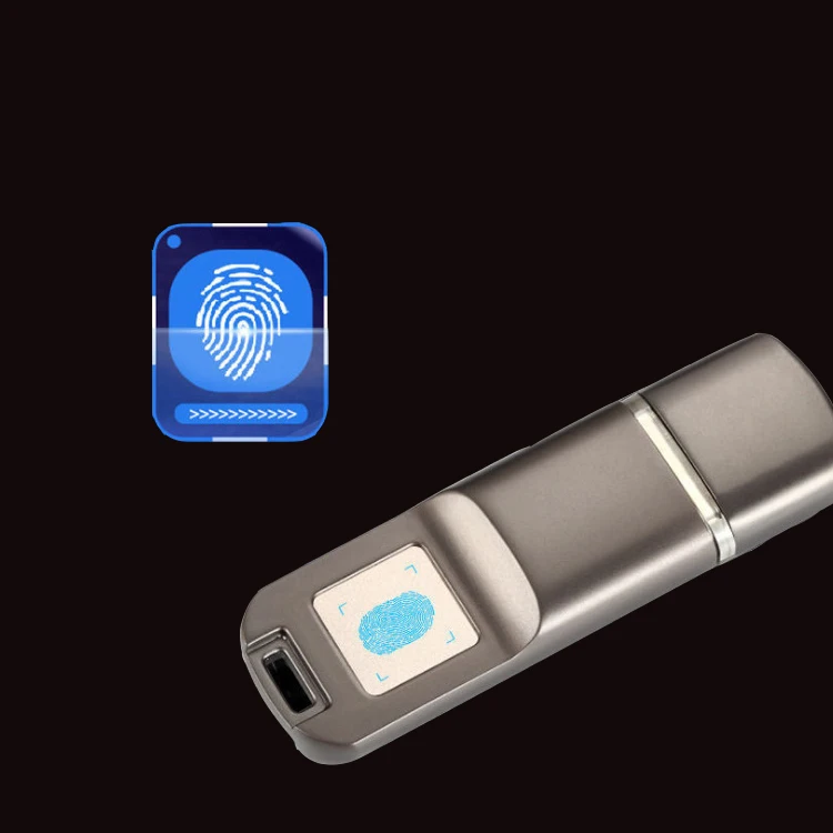 Wholesale metal customs logo engraved keychainusb flash drives bulk cheap, fingerprint usb flash drive 128gb