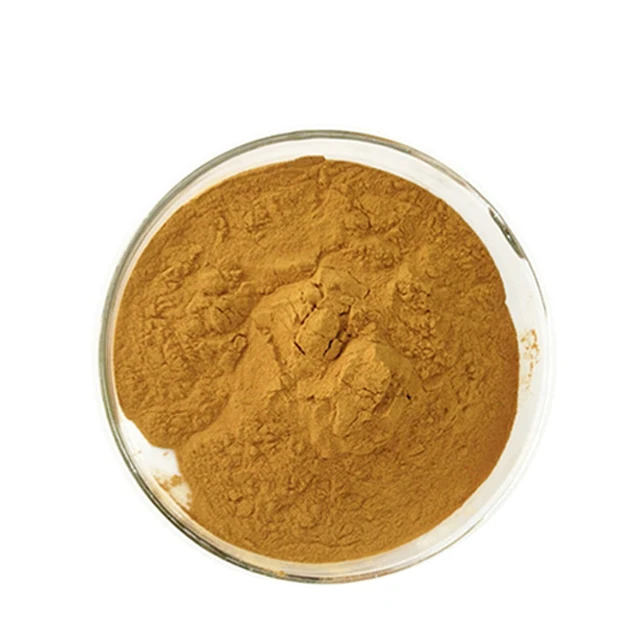 Ginkgo Biloba Extract Powder with 24% flavone