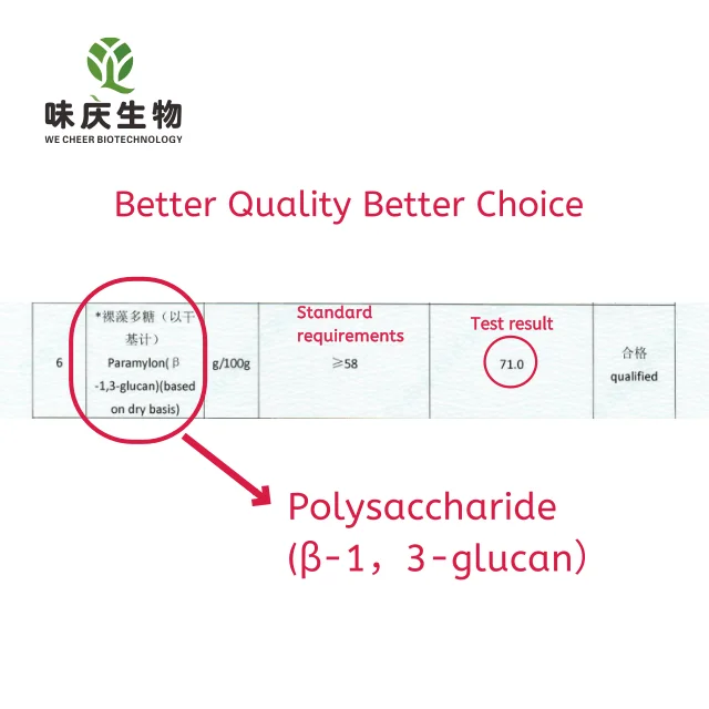 
chlorella power chlorella growth factor chlorella growth factor yellow powder 