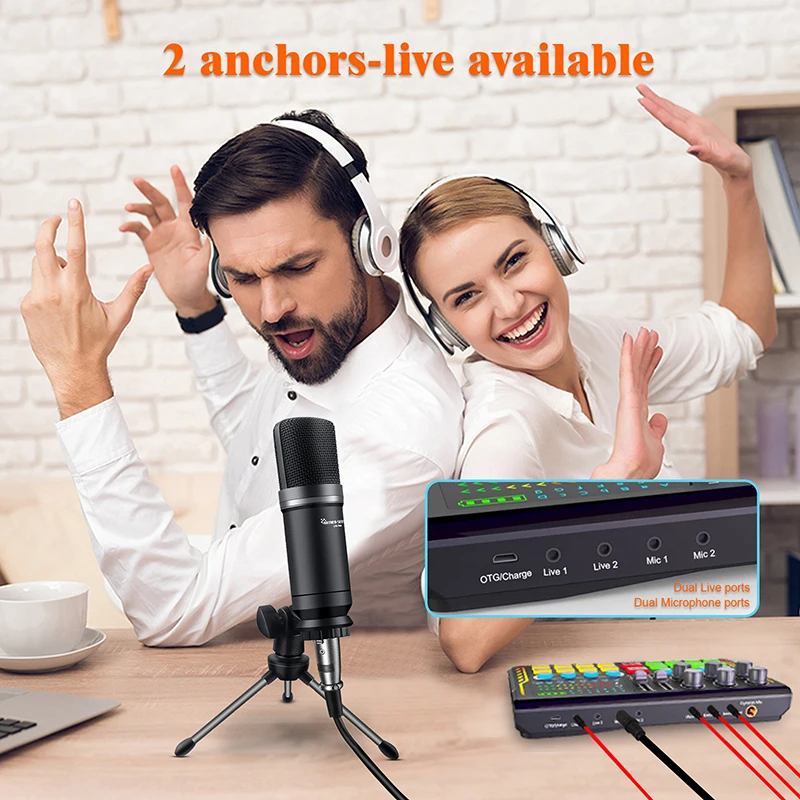 Hayner Seek Podcast Equipment Bundle Small recording equipment with  microphone, audio interface