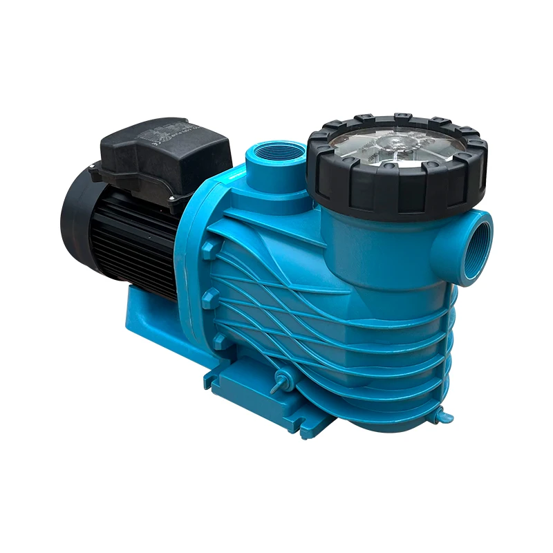 Factory Price Pool Water Pump Wholesale Swimming Pool Pump Outdoor Pump