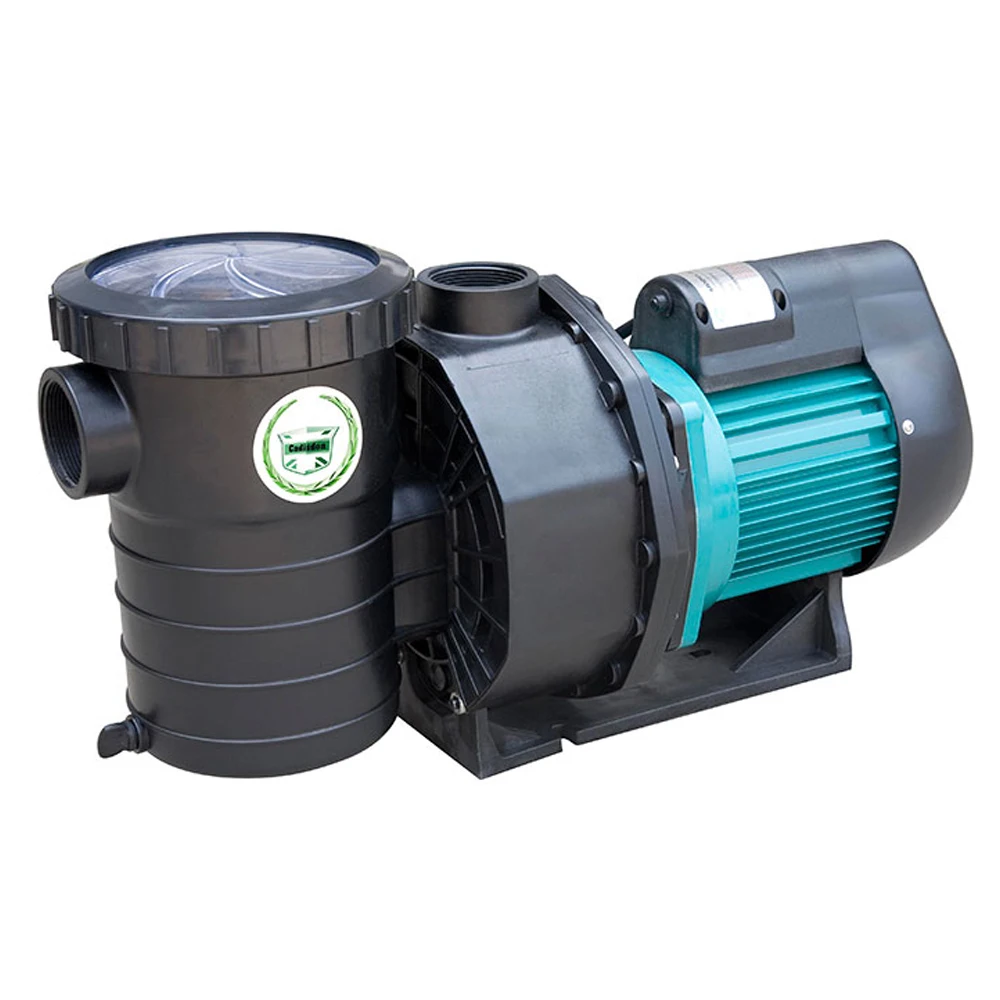 1HP Spa насос Lx мотор с нагревателем