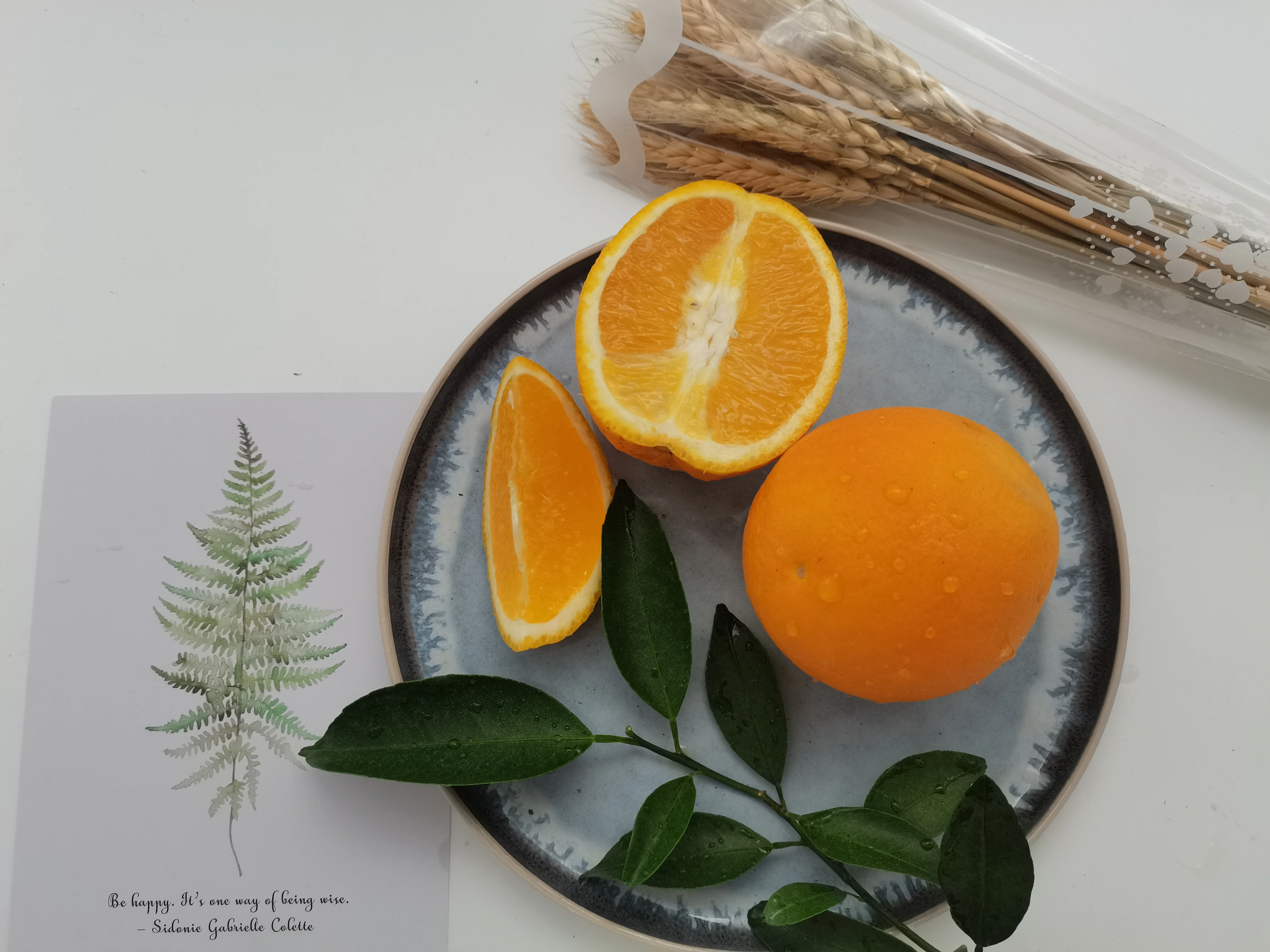 Premium Fresh Citrus fruits Top Grade Chinese Tangerine fruits Chunjian Mandarin orange fresh fruit