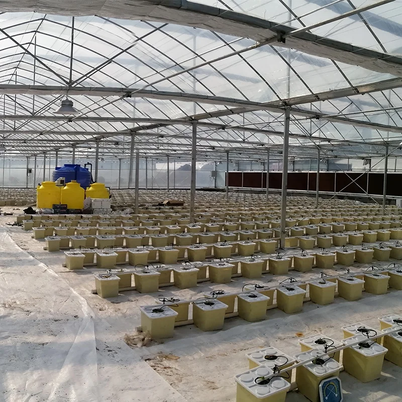 Agriculture Dwc Hydroponic Growing Systems  Deep Water Culture Bucket Hydroponic Bucket