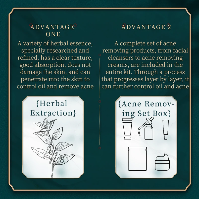 Private Label BAIZTON Herbal Plant Extract Anti-Acne Skin Care Set Facial Serum Face Cream Hydrating Skin Care Kit