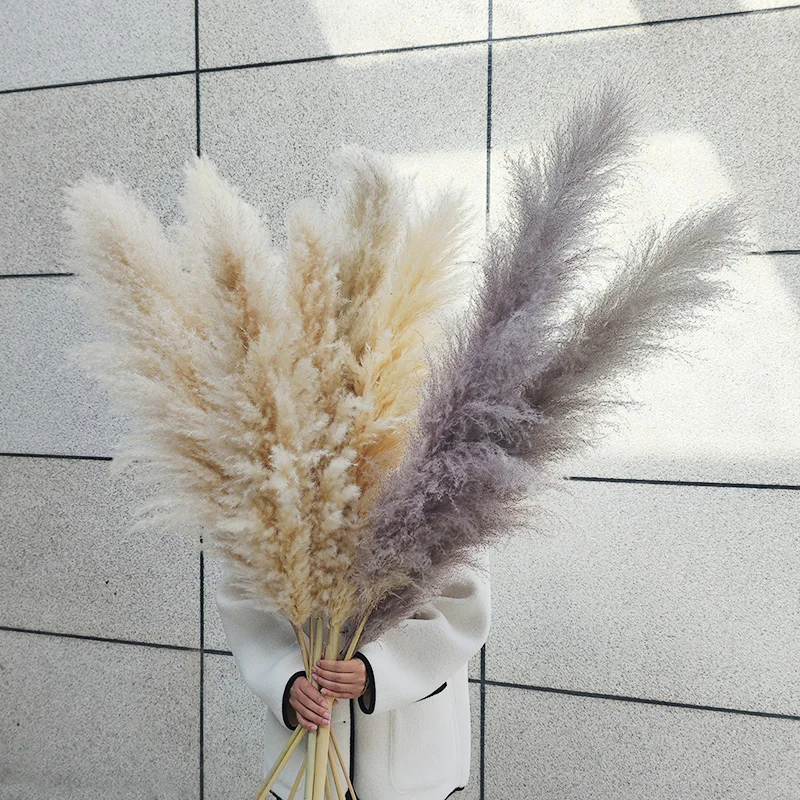 Wholesale High Fluffy Pampas Grass wall christmas tree white/pink Pampas Reed Grass dried flower Wedding Decorations Boho Decor