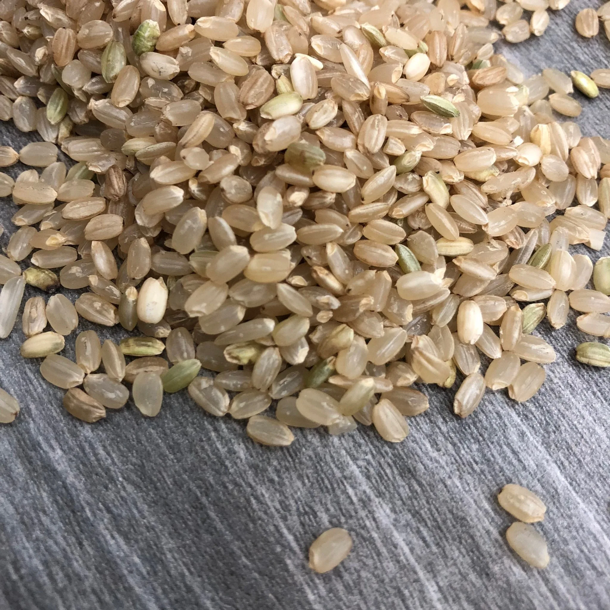 Brown Rice Custom Logo Package Good Price For Export Best Quality Brand Manufacturer Hot Selling From Vietnam