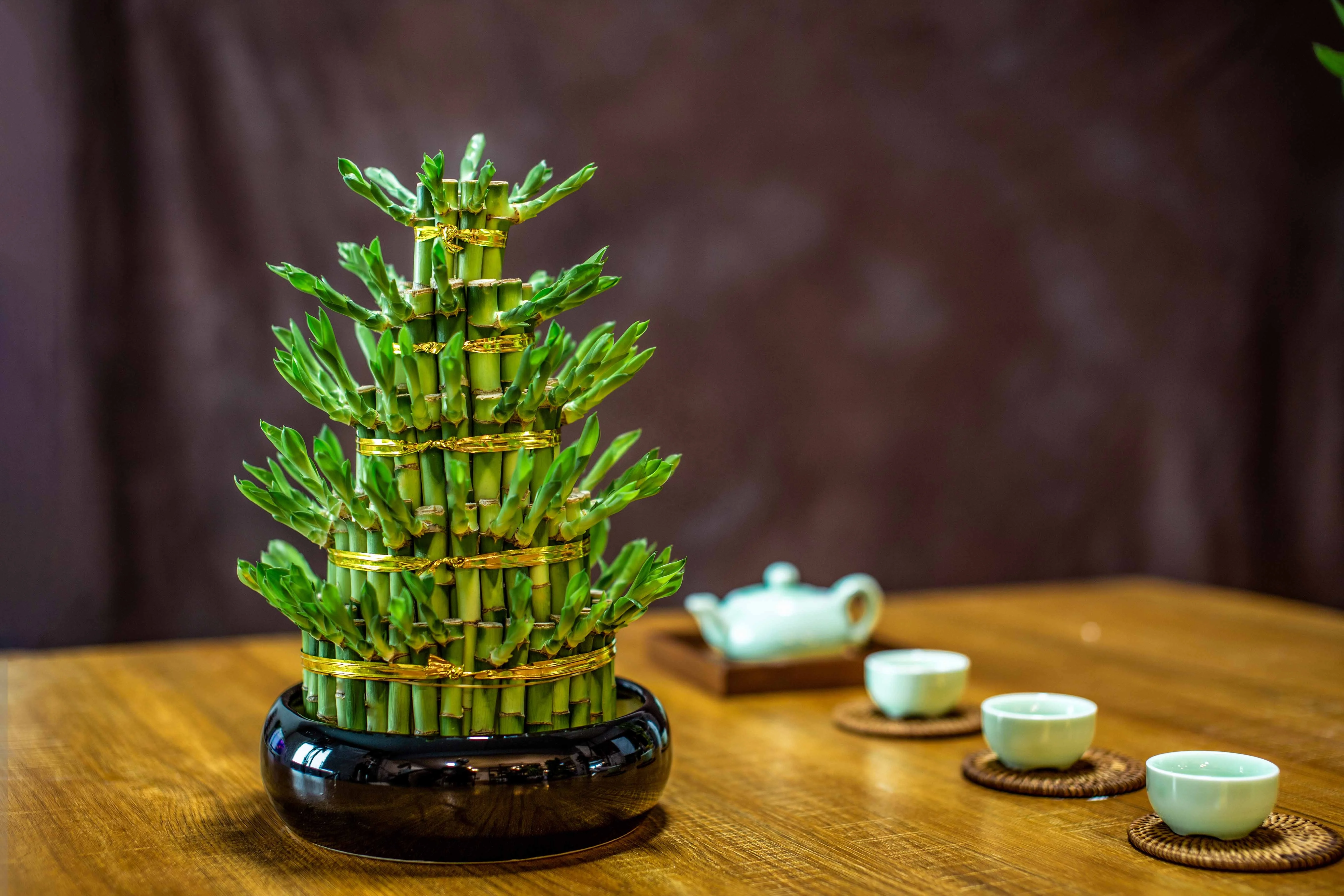 Крытый китайский бамбуковый завод Две башни счастливый бамбук