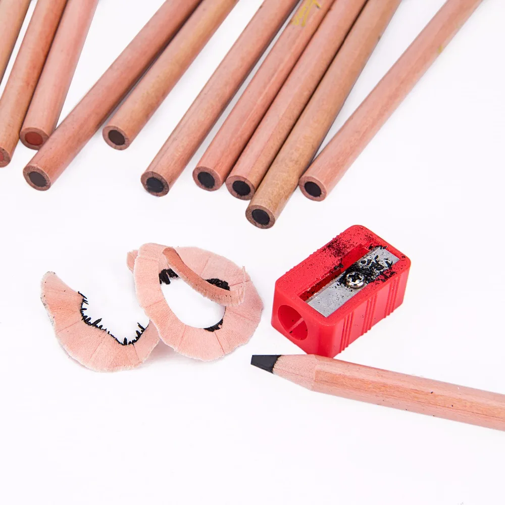 Bianyo 12 Pcs/Box Artist Soft Pastel Pencils Crayon Charcoal Pencils Artiste Wooden Non toxic Pencil for Sketching Drawing