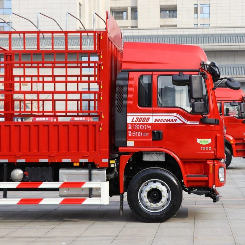 Низкая цена транспортный автомобиль 245HP поддержка настройки Shacman L3000 4x2 грузовой