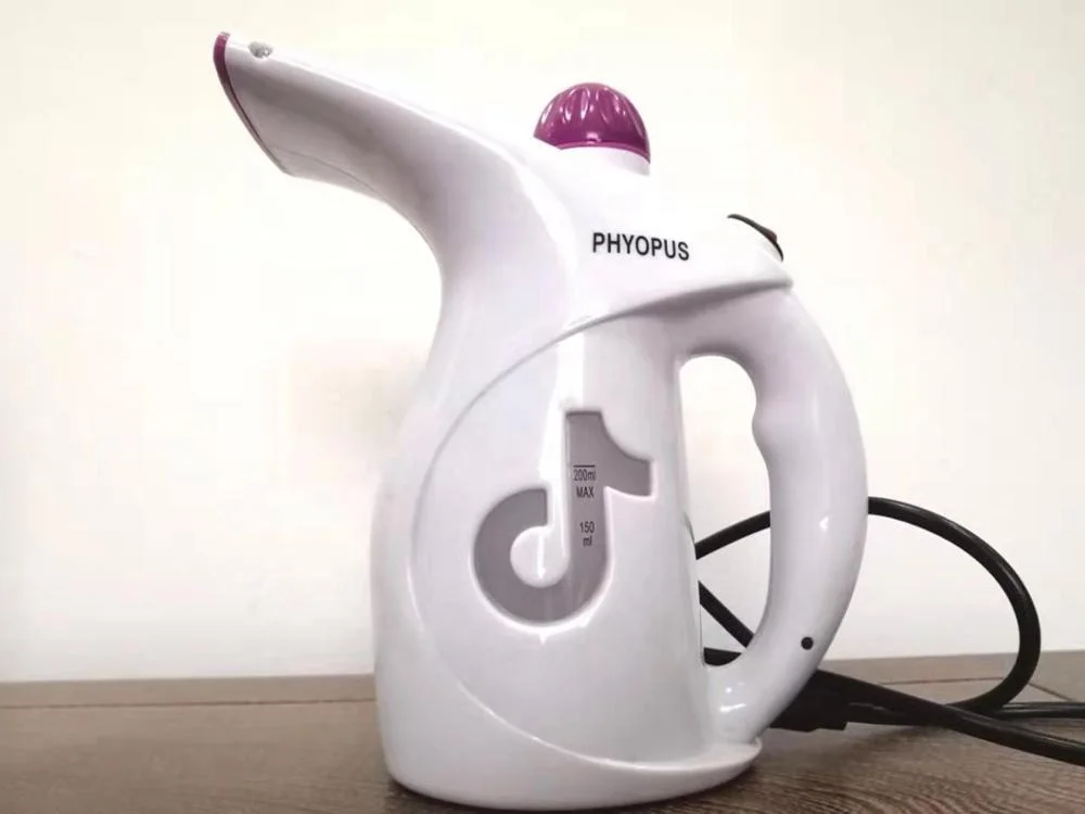 
800W multifunctional handheld garment steamer steam brush for clothes for travel 