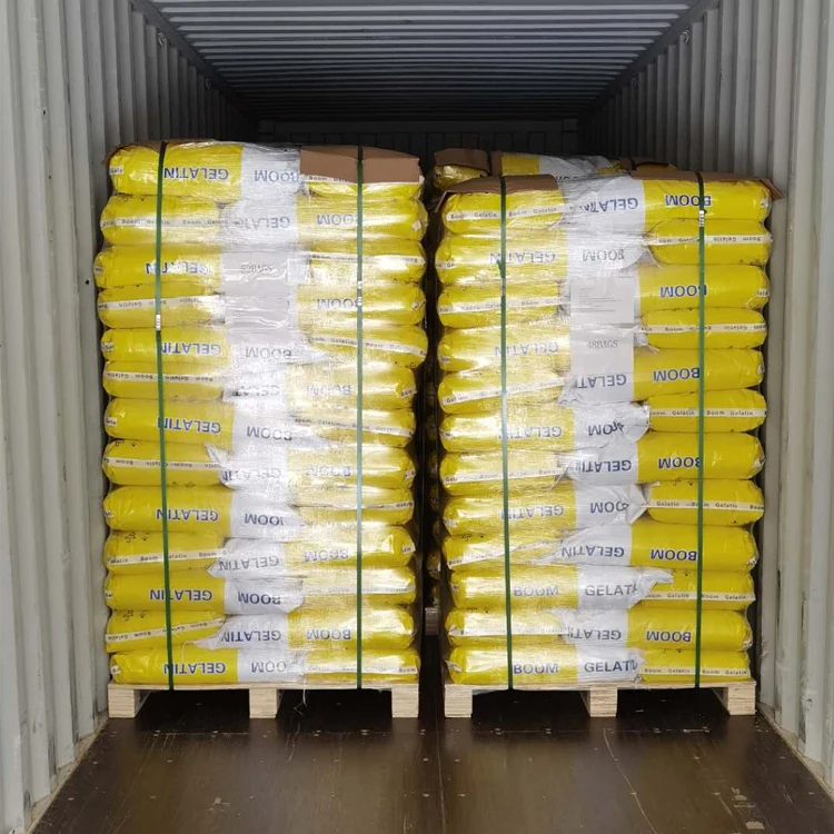High Quality Factory Direct Sale Manufacture Bulk Gelatin Edible Fish Skin Gelatin