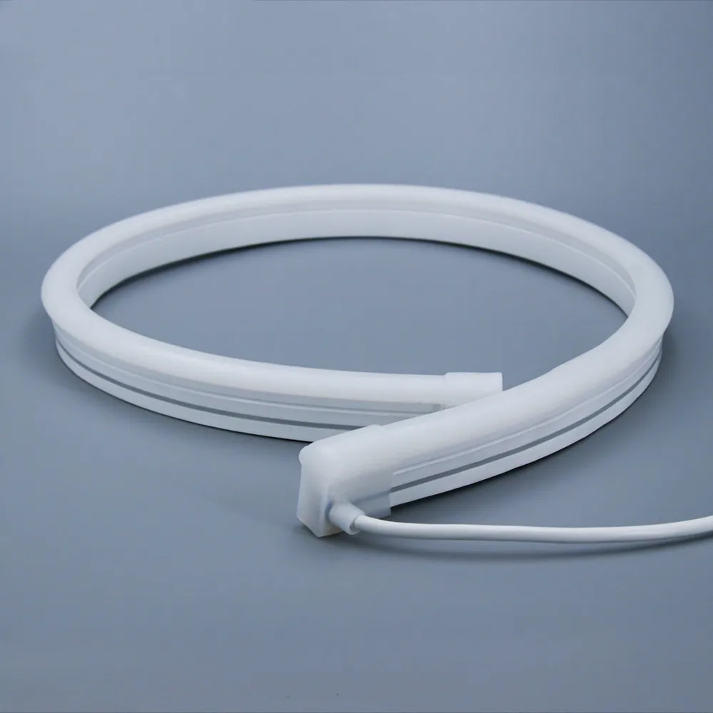 Aquarium Neon Light Bars Outdoor LED Light Strips Waterproof Neon Flexible Strip Light 12v