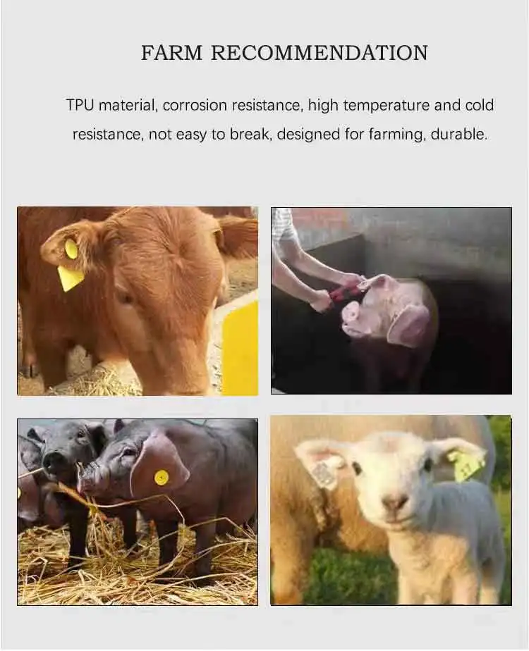 2024 HOT ear tag  TPU animal ear tag live cow cattle pig sheep ear tag marker with Applicator plier equipment