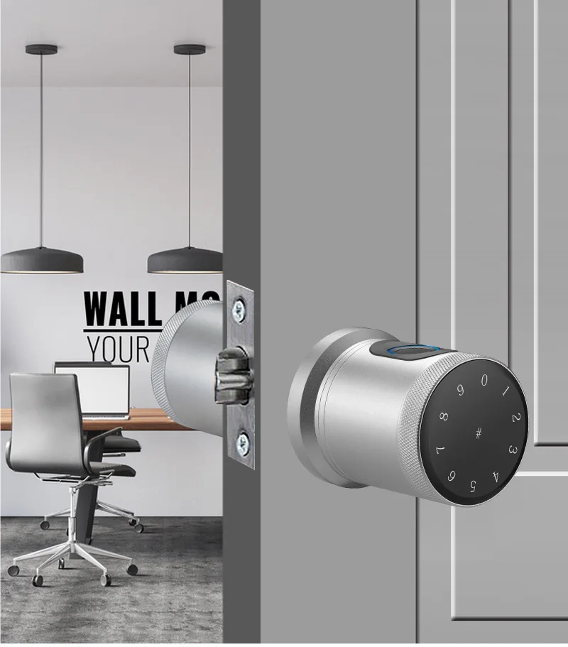 Indoor TT lock spherical smart door lock smart electronic fingerprint password door lock