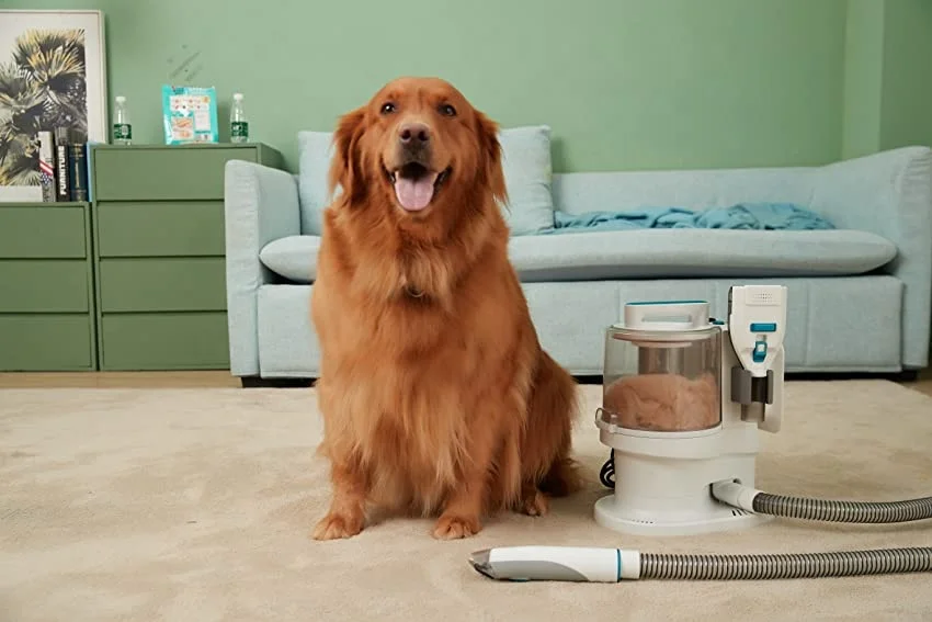 Hot Selling Dog Cat Vacuum Hair Remover Tools Pet Hair Grooming Vacuum Kit